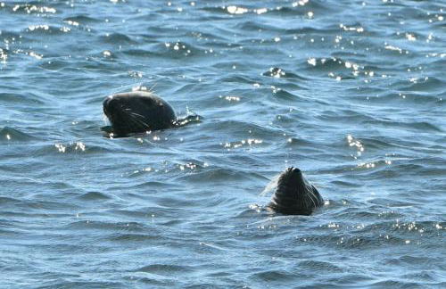 Appartement L'Embarcadère - Photo 68
