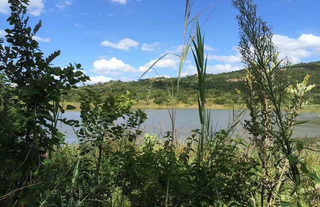 Near2Numbi - Foto 71