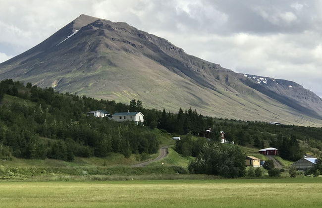 Brúnalaug Guesthouse Holiday Home - Foto 22