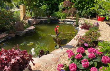 Pension mit Moselblick - Foto 6