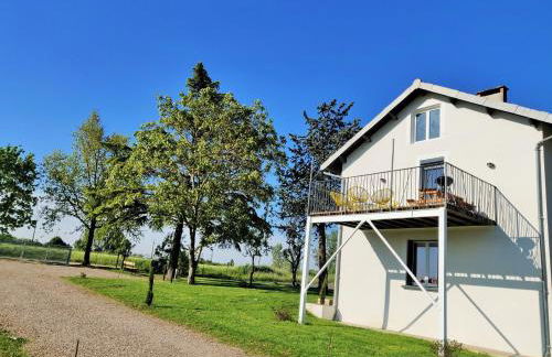 Le Cottage Duo Syrah Clim entre Albi-Toulouse & Les Cottages du Tarn - Foto 24