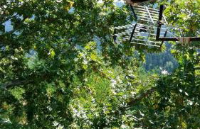 Gouvas stone house - Photo 11