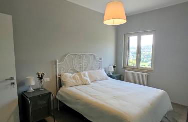 Azienda Agricola Sebastiani - Foto 30