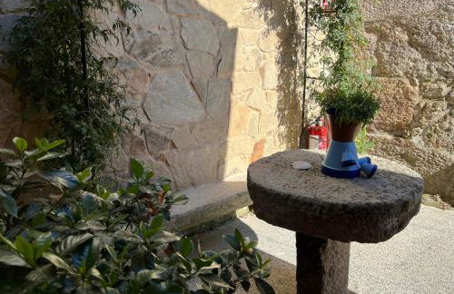 Apartamento Casa Xesteira - Foto 30