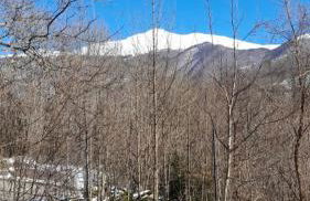 Chalet Del Rio - Photo 17