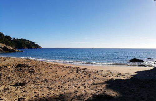 Les calanques - Foto 27