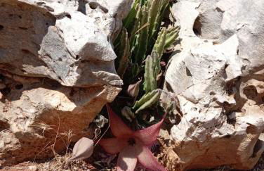 La Mery Giò House - Fasano - Foto 37