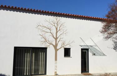 Horta dos Cedros - Foto 22