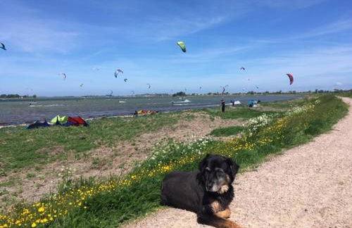 Zur Mühle Lemkenhafen auf Fehmarn - Foto 35