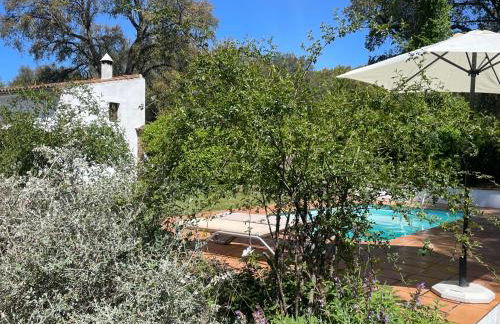 La Casita de Platero - Foto 10