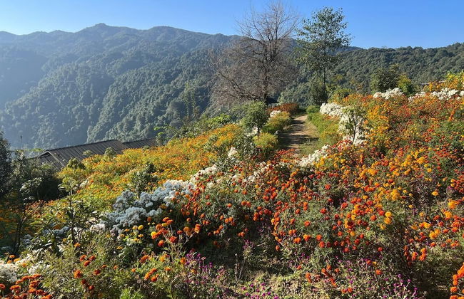 Prakriti Resort and Organic Farm - Foto 52