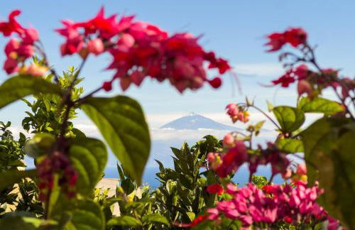 Home2Book Valley Views & Private Terrace Hermigua - Foto 31