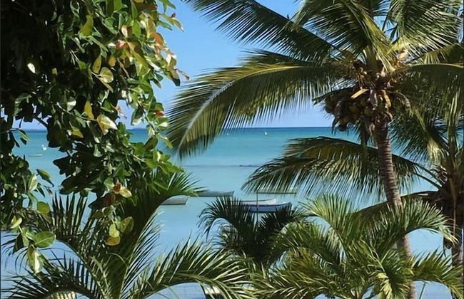 Villas Banyan - Foto 19