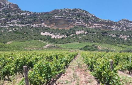 Casa di Ceppo - Foto 3