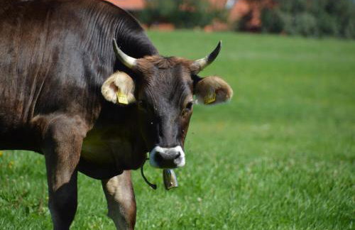 Alex Bergblick - Foto 10