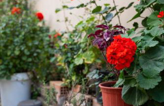 NYX Guesthouse - Photo 48