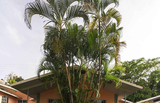 Kootney Resorts - Photo 74