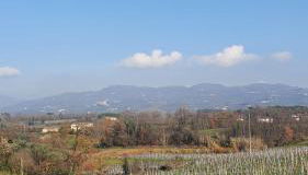 Il brigidino - Foto 2