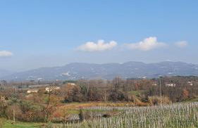 Il Chicco apartment - Foto 13