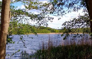 Apartment Kletterrose, Seenähe, Mecklenburgische Seenplatte - Foto 19