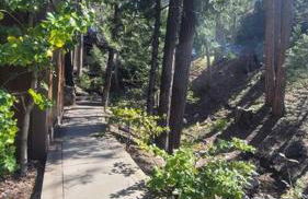 Arrowhead Lake Cabin pool table stunning views - Foto 31