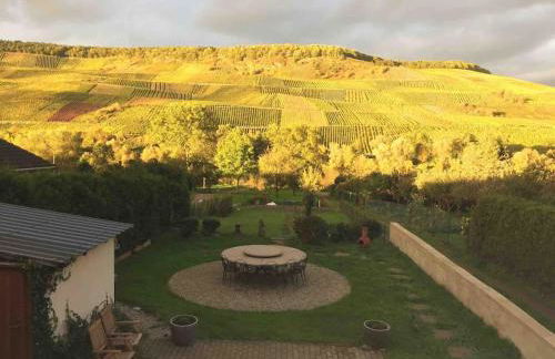 Wohnen direkt am Moselstrand - Foto 68