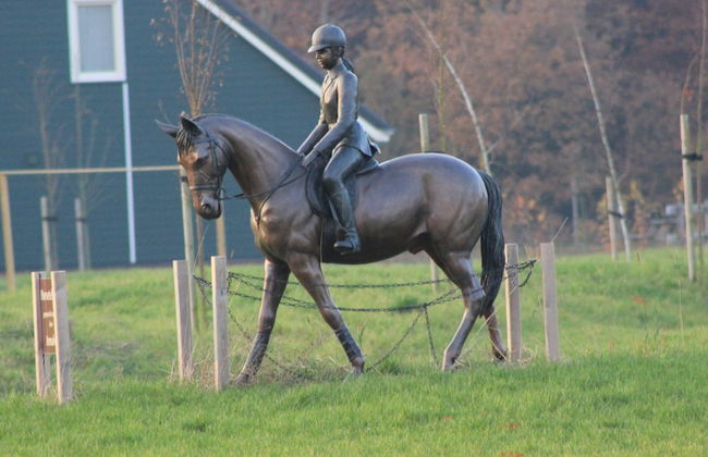 Cozy Forest-edge Home - Foto 19