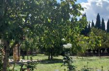 Chalet Stiga Kalavrita - Maisonettes - Foto 49