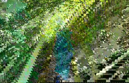 DOMAINE RÊVES ETOILÉS - Foto 8