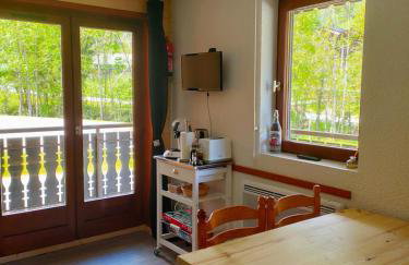 Studio Châtel Secteur Linga Proche Pistes - Foto 7