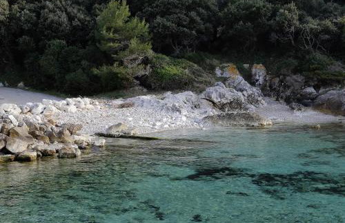 Apartment Cacini Dvori - Foto 22