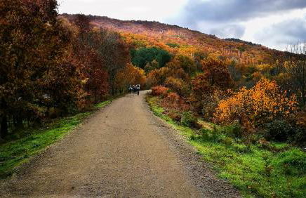 Casa Rural ARBEQUINA & Esquí La Covatilla - Foto 20
