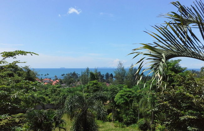 Freedom Estate - Photo 61