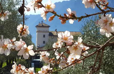 Residence La Colombera - Foto 39