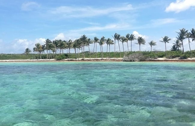 Nakolodge 2 chambres - piscine / jardin privatifs - Foto 62