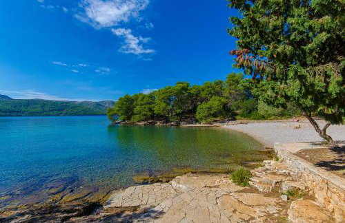 House Oliva with private pool and large garden - Photo 77