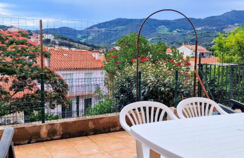 Studio cabine avec terrasse et parking à Banyuls-sur-Mer - FR-1-309-277 - Foto 13