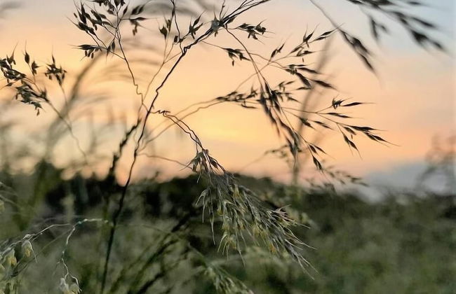 Agriturismo Gocce di Luna - Foto 21