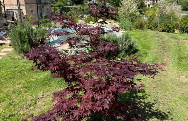 Villa Emilia - Foto 27