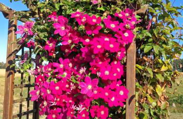 Studio dans une longère en pierre à la campagne - Foto 19