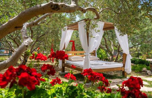 Villa Oliva - Photo 30