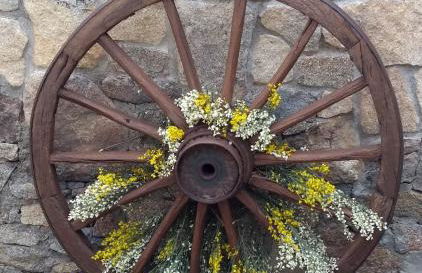 Tinao de Gredos - Foto 23