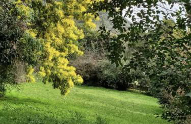 Logis PONIENTE - Foto 13