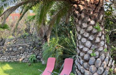 Villa Finca Tijarafe mit beheiztem, abdeckbarem Pool - Foto 37