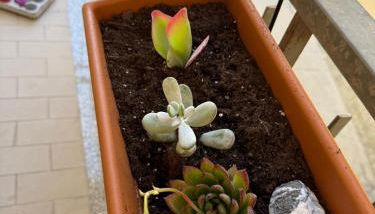 Arancello Apartment - Foto 3