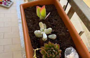 Arancello Apartment - Foto 3