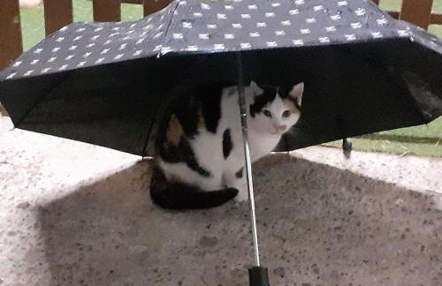 Ferienwohnung Kerstenhof - Foto 25