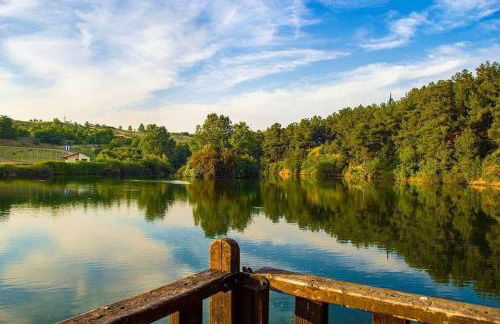 Orchid Apartments - Photo 7