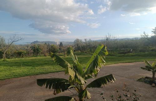 Blue & Green - Foto 26