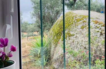 Casa 1-Quinta dos Penedos - Foto 19